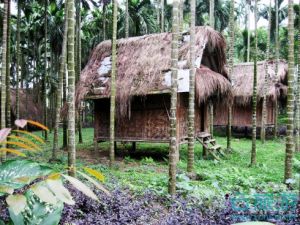  椰林乡村生态观光园