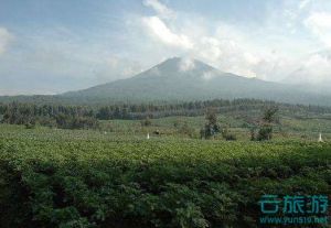                              卢旺达火山国家公园