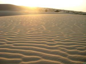 塔尔沙漠—云旅游