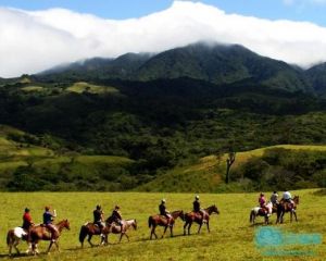 瓜纳卡斯特自然保护区