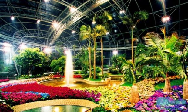 北京植物园 展览温室