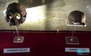 桑吉兰遗址 人类化石