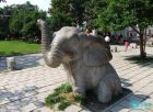 北京动物园 象馆
