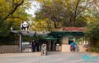 北京动物园 熊猫馆