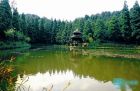 铜铃山森林公园 小瑶池
