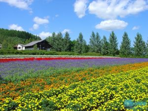 富田花园农场旅游推荐